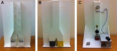 Inferring Unseen Causes: Developmental and Evolutionary Origins